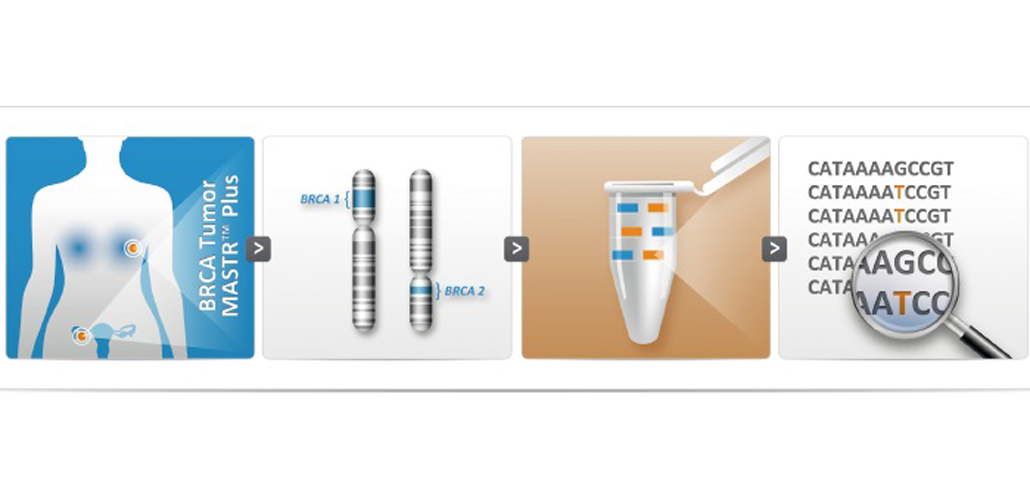 BRCA Tumor MASTR Plus Product launch BRCA Tumor MASTR Plus Product launch